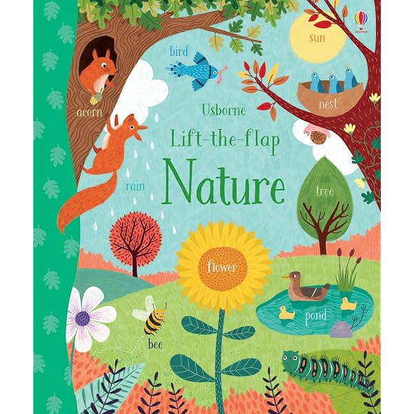Amazon.com: Lift the Flap Colours Book (Usborne Lift-the-Flap